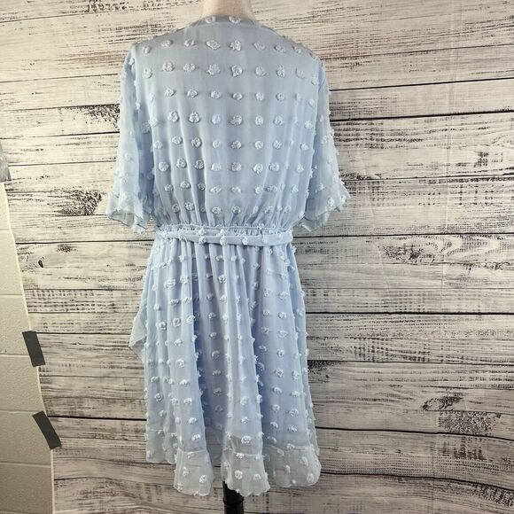 Plushe Dress Plus sz 4XL Light Blue Sheer Swiss Dots Knee A Line Wedding Church - Picture 14 of 15